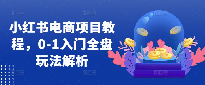 小红书电商项目教程，0-1入门全盘玩法解析-泡泡网赚