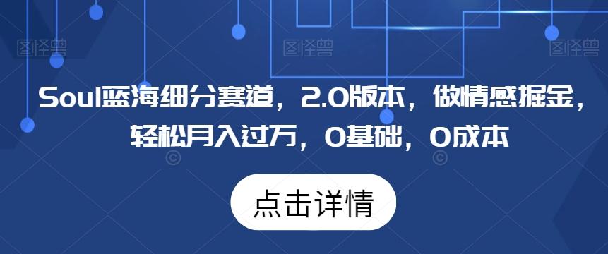 Soul蓝海细分赛道，2.0版本，做情感掘金，轻松月入过万，0基础，0成本-泡泡网赚