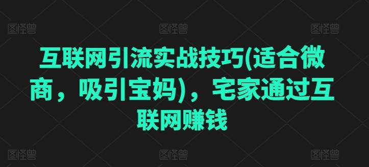 互联网引流实战技巧(适合微商，吸引宝妈)，宅家通过互联网赚钱-泡泡网赚
