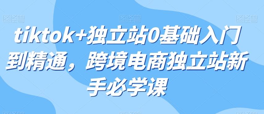 tiktok+独立站0基础入门到精通，跨境电商独立站新手必学课-泡泡网赚