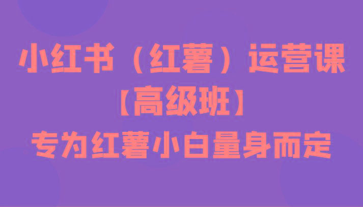 小红书(红薯)运营课【高级班】，专为红薯小白量身而定(42节课)-泡泡网赚