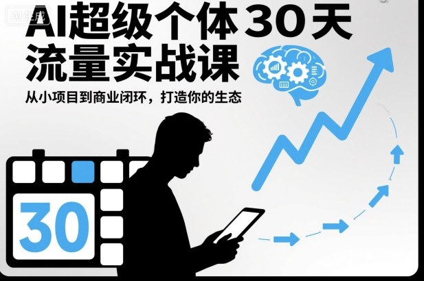 AI超级个体30天流量实战课，从小项目到商业闭环，打造你的生态-泡泡网赚