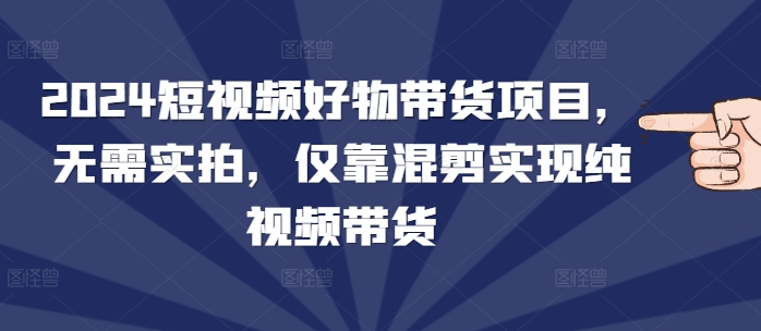 2024短视频好物带货项目，无需实拍，仅靠混剪实现纯视频带货-泡泡网赚