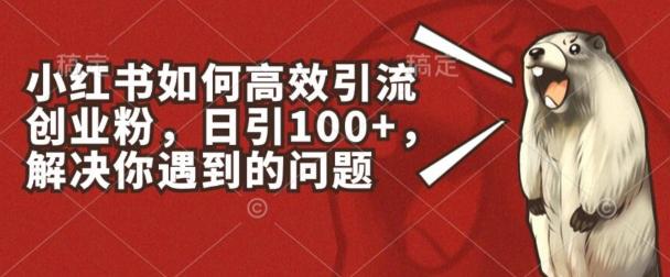 小红书如何高效引流创业粉，日引100+，解决你遇到的问题【揭秘】-泡泡网赚