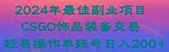 2024年最佳副业项目 CSGO饰品装备交易 轻易操作单账号日入200+-泡泡网赚