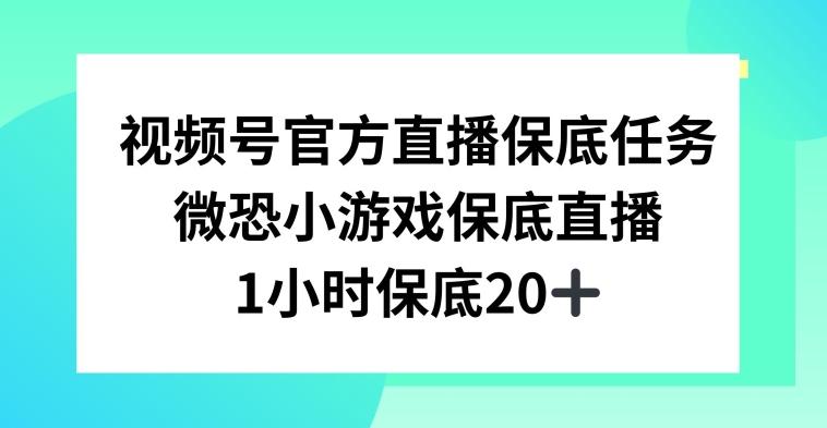 视频号直播任务，微恐小游戏，1小时20+【揭秘】-泡泡网赚