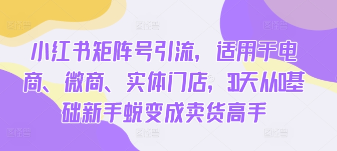 小红书矩阵号引流，适用于电商、微商、实体门店，30天从0基础新手蜕变成卖货高手-泡泡网赚