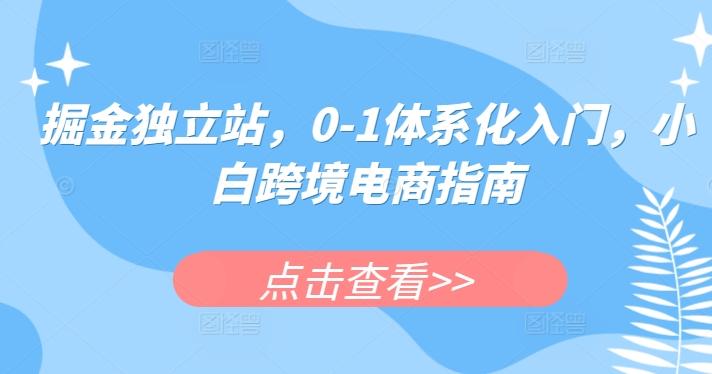 掘金独立站，0-1体系化入门，小白跨境电商指南-泡泡网赚