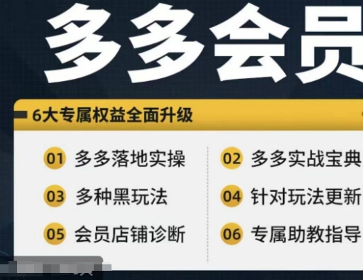 拼多多会员，拼多多实战宝典+实战落地实操，从新手到高阶内容全面覆盖-泡泡网赚