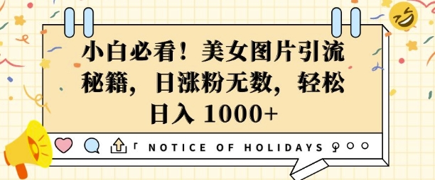 小白必看，美女图片引流秘籍，日涨粉无数，轻松日入几张【揭秘】-泡泡网赚