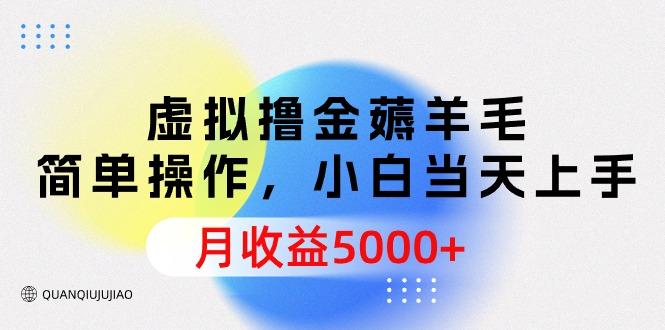 (9864期)虚拟撸金薅羊毛，简单操作，小白当天上手，月收益5000+-泡泡网赚