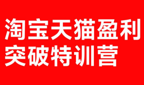 玺承·淘宝天猫盈利突破特训营(25年12月线下课)【音频+字幕】-泡泡网赚
