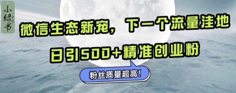 微信生态新宠小绿书：下一个流量洼地，日引500+精准创业粉，粉丝质量超高-泡泡网赚