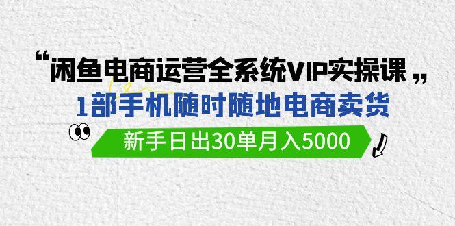 (9547期)闲鱼电商运营全系统VIP实战课，1部手机随时随地卖货，新手日出30单月入5000-泡泡网赚