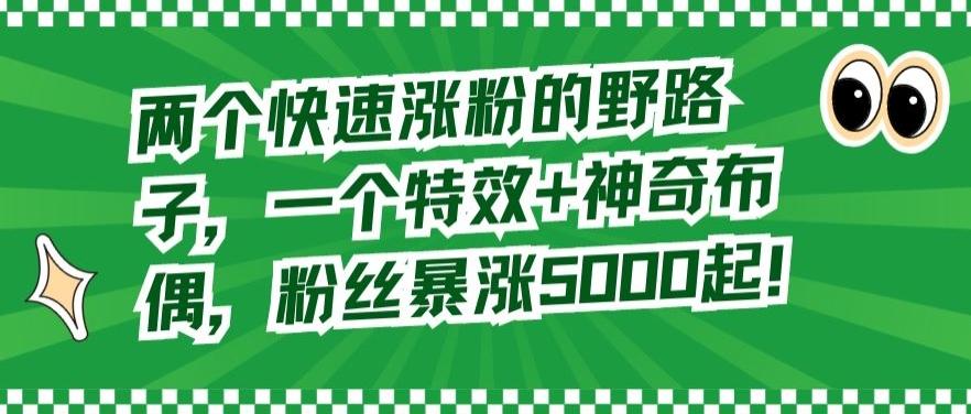 两个快速涨粉的野路子，一个特效+神奇布偶，粉丝暴涨5000起【揭秘】-泡泡网赚