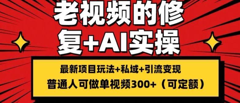 修复老视频的玩法，搬砖+引流的变现(可持久)，单条收益300+【揭秘】-泡泡网赚