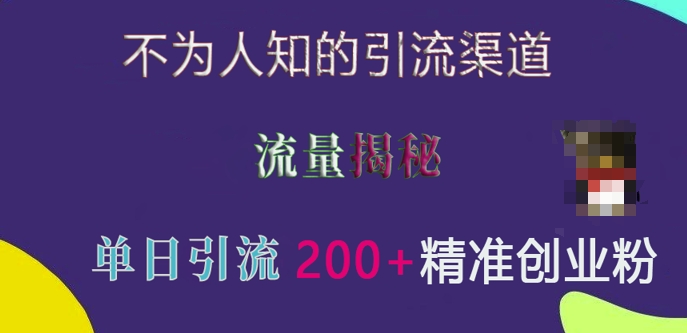 不为人知的引流渠道，流量揭秘，实测单日引流200+精准创业粉【揭秘】-泡泡网赚