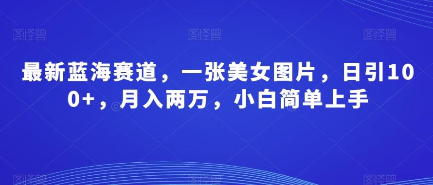 最新蓝海赛道，一张美女图片，日引100+，月入两万，小白简单上手-泡泡网赚