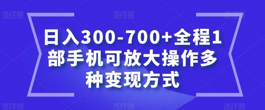 日入300-700+全程1部手机可放大操作多种变现方式【揭秘】-泡泡网赚