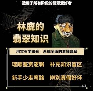 林鹿的翡翠知识，​用宝石眼光，系统全面的看懂翡翠-泡泡网赚