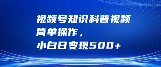 视频号知识科普视频，简单操作，小白日变现500+【揭秘】-泡泡网赚