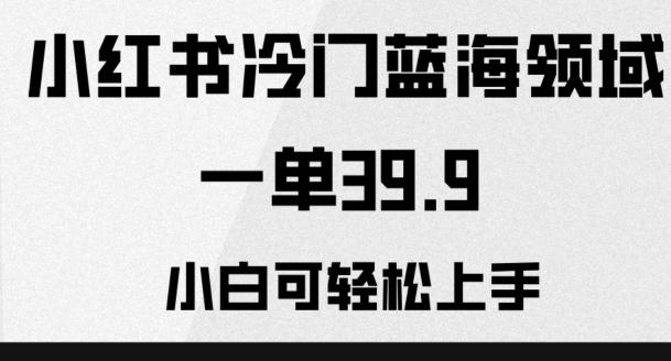 小红书冷门蓝海领域，一单39.9，小白可轻松上手-泡泡网赚