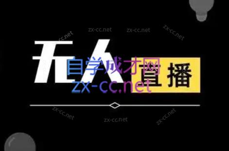 宝子哥·无人直播-非实时防风技术(更新8月)-泡泡网赚