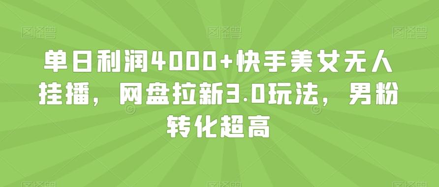 单日利润4000+快手美女无人挂播，网盘拉新3.0玩法，男粉转化超高【揭秘】-泡泡网赚