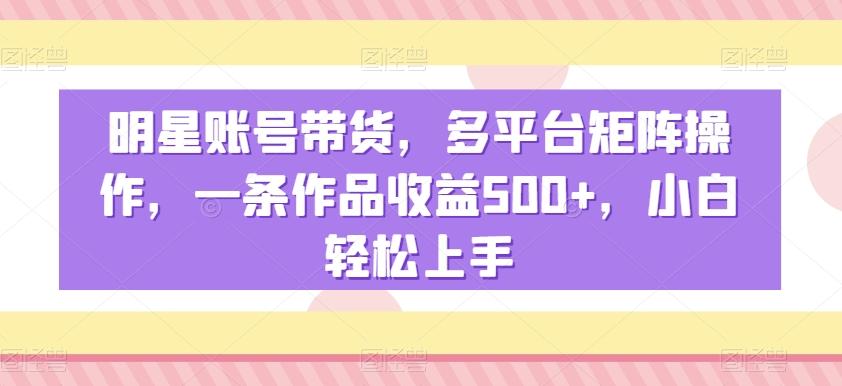 明星账号带货，多平台矩阵操作，一条作品收益500+，小白轻松上手【揭秘】-泡泡网赚