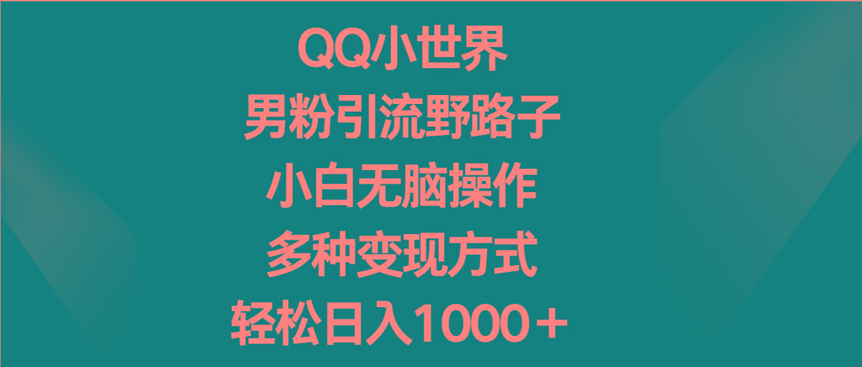 QQ小世界男粉引流野路子，小白无脑操作，多种变现方式轻松日入1000＋-泡泡网赚