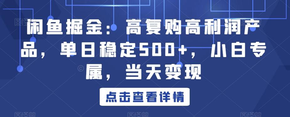 闲鱼掘金：高复购高利润产品，单日稳定500+，小白专属，当天变现-泡泡网赚