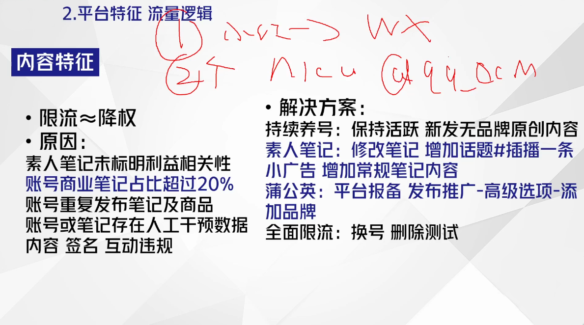 尼采老师·小红书爆单系列课-泡泡网赚