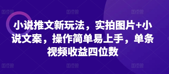 小说推文新玩法，实拍图片+小说文案，操作简单易上手，单条视频收益四位数-泡泡网赚