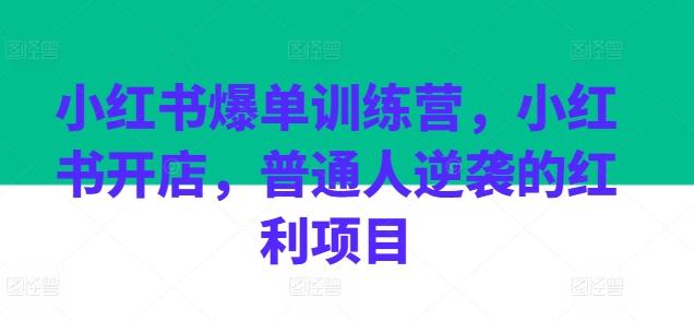 小红书爆单训练营，小红书开店，普通人逆袭的红利项目-泡泡网赚