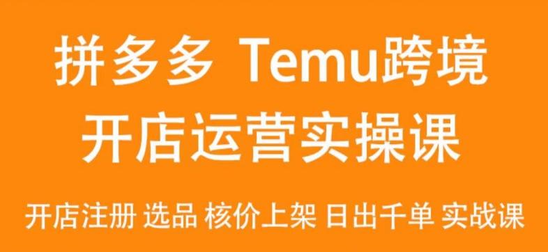 2024Temu最新玩法，Temu跨境开店运营实操课，开店注册/选品/核价上架/日出千单实战课-泡泡网赚