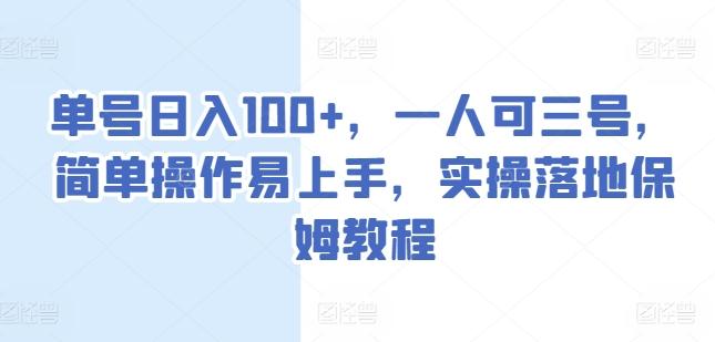 单号日入100+，一人可三号，简单操作易上手，实操落地保姆教程【揭秘】-泡泡网赚