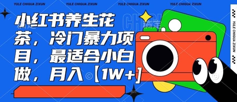 小红书养生花茶，冷门暴力项目，最适合小白做，月入【1W+】-泡泡网赚