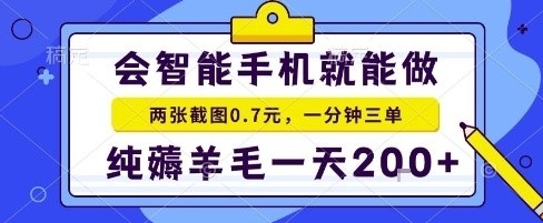 手机项目，二十秒一单，纯薅羊毛一天2张+做就有【揭秘】-泡泡网赚