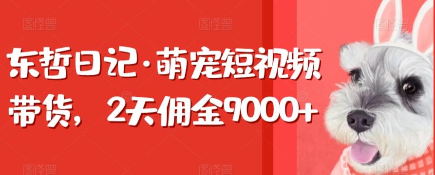 东哲日记·萌宠短视频带货，2天佣金9000+-泡泡网赚