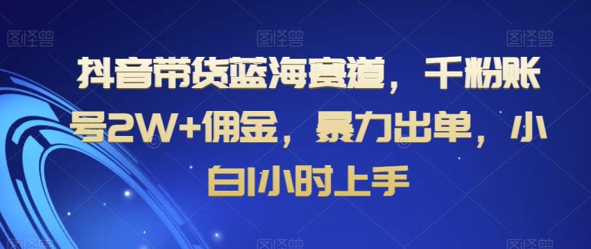 抖音带货蓝海赛道，千粉账号2W+佣金，暴力出单，小白1小时上手【揭秘】-泡泡网赚