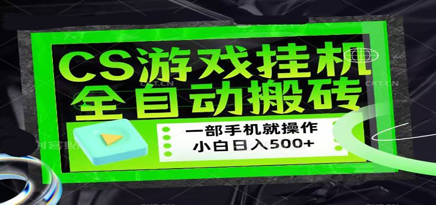 CSGO游戏挂机捡漏搬砖，超稳定的项目，带领1000+小白实现日入500+-泡泡网赚