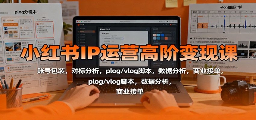 小红书IP运营高阶变现课：账号包装，对标分析，plog/vlog脚本，数据分析，商业接单-泡泡网赚