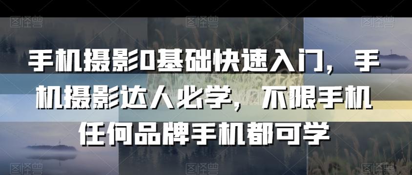 手机摄影0基础快速入门，手机摄影达人必学，不限手机任何品牌手机都可学-泡泡网赚