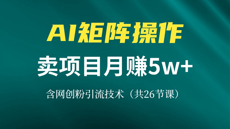 网创IP打造课，借助AI卖项目月赚5万+，含引流技术(共26节课-泡泡网赚
