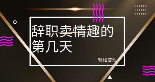 冷门赛道，辞职卖情趣的第几天，超暴力项目-泡泡网赚