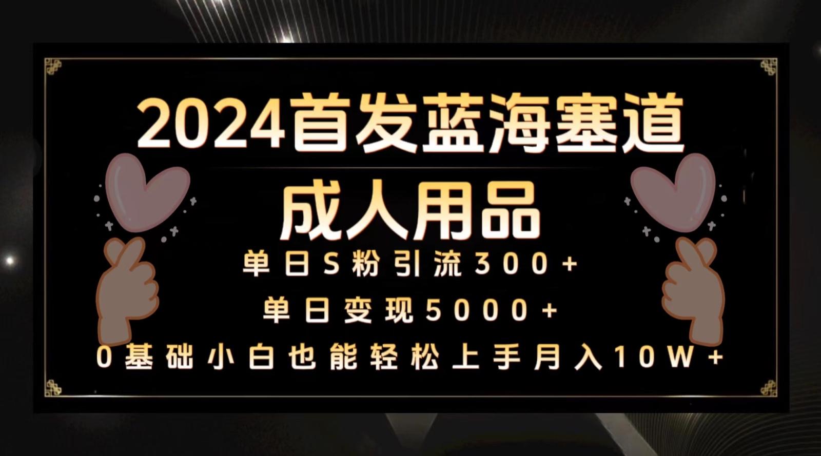 2024首发蓝海塞道成人用品，月入10W+保姆教程-泡泡网赚