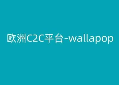 欧洲C2C平台-wallapop-kim跨境电商教程-泡泡网赚