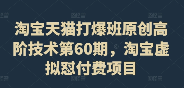 淘宝天猫打爆班原创高阶技术第60期，淘宝虚拟怼付费项目-泡泡网赚