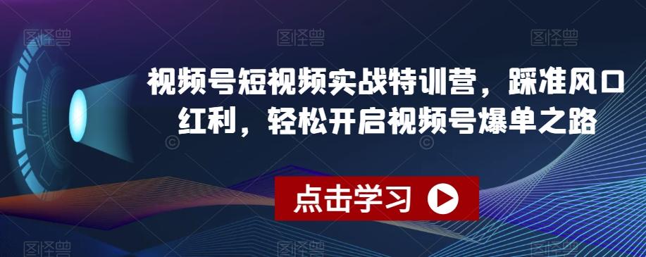视频号短视频实战特训营，踩准风口红利，轻松开启视频号爆单之路-泡泡网赚