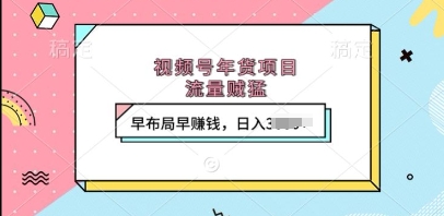 视频号年货项目，流量贼猛，早布局早挣钱，日入上k【揭秘】-泡泡网赚